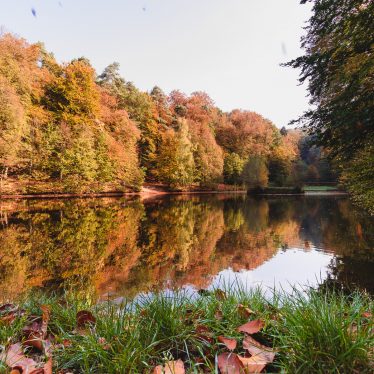 Ein Tag im Wald – Orangerie und Karlsbergweiher