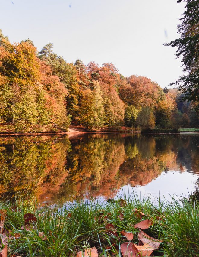 Ein Tag im Wald – Orangerie und Karlsbergweiher